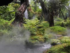 -Chom Cafe and Restaurant