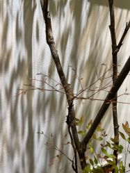 点击看大图 -Y+U遇瑜伽·普拉提