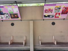 -九龙公园