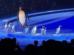 -珠海横琴长隆《卡卡虎奇遇记》