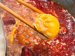 -朱光玉火锅馆(正弘城店)