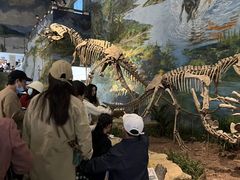 -自贡恐龙博物馆