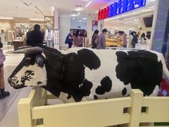 -红星前进面包牛奶公司(君太店)