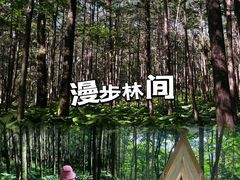 -洛阳白云山景区