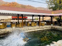 -京北渔家傲
