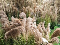 -福田美术馆——新童话主义－周艺文艺术季