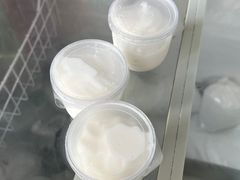 -洪馨椰子