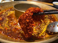-杨家火锅(国美店)