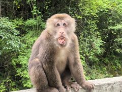 -西岭雪山大飞水景区