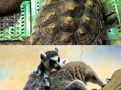 -大连圣亚海洋世界
