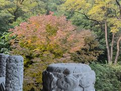 -香山公园