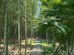-南北湖风景区