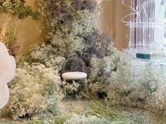-美联众合动物医院·24h转诊中心
