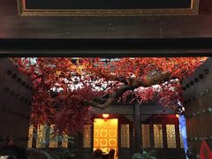 -江天生态园餐厅