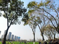 -重庆中央公园(渝北区)