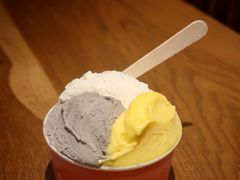 云南小叶蜜桔-Dal Cuore 达可芮冰淇淋(陕西北路店)