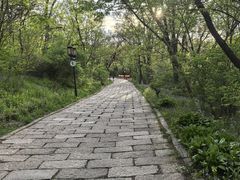 -高尔山公园