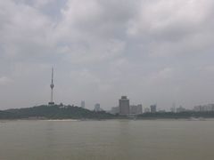-矮子馅饼(大成路店)