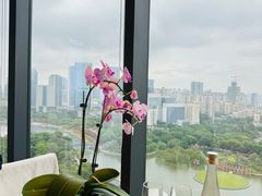 -安乐茶饭·手工素菜·高空景观餐厅(千灯湖店)