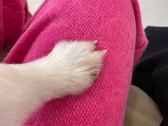 -怪兽屋·羊驼·猫咖·狗咖(俊华广场店)