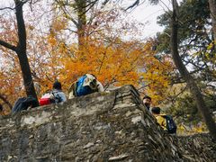 -北京上方山国家森林公园