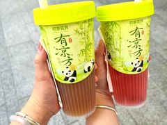 -初茶花月·重庆特产(大融城店)