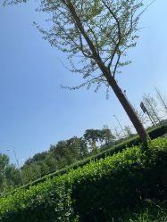-HEYAN长风荷妍专业脱毛美肤
