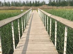 -东郊湿地公园