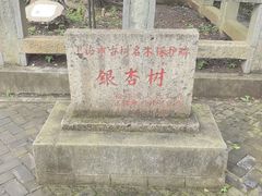 -上海佘山国家森林公园天马山园