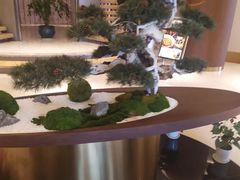 -松鹤楼(狮山永利广场店)