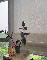 -卡莫瑜伽·普拉提