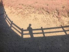 -红海滩国家风景廊道