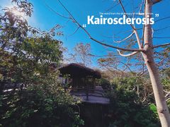 -海南槟榔谷黎苗文化旅游区