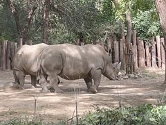 -北京野生动物园