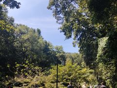 -岳麓山风景名胜区