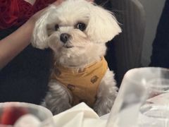 -Oyster Talks 四度蚝法餐厅