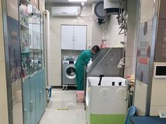 -北京观赏动物医院·24小时大型综合·猫专科·异宠专科