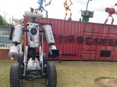 -上海长兴岛郊野公园