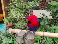 -南宫五洲植物乐园