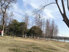 -长广溪湿地公园