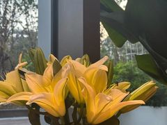 -甜阿姨·天台花园私房菜(万松园店)