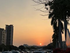 -深圳野生动物园
