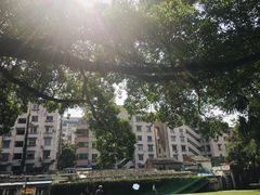 -墨池公园