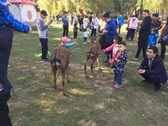 -赛汗塔拉风情园