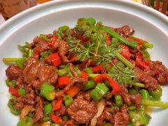 -老滇山寨•云南特色菜•地方菜•民族风情歌舞表演(金碧店)