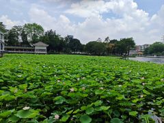 -荔湾湖公园