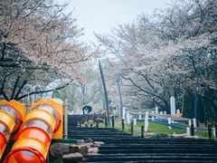 -杭州少年儿童公园