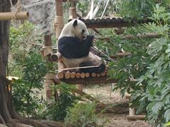 -灵玲国际马戏城