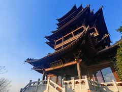 -杭州半山国家森林公园