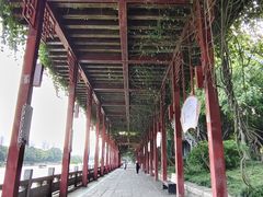 -光明港公园